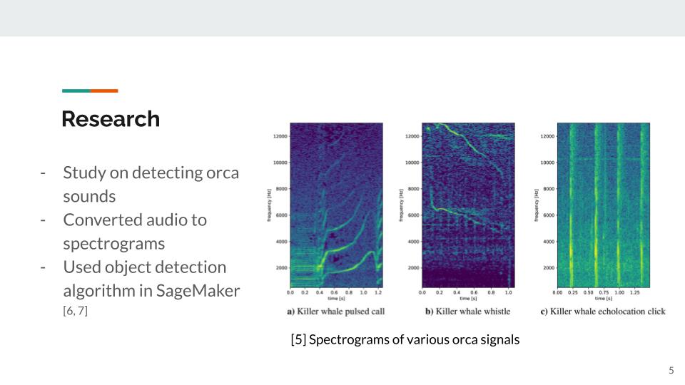 Slide 5